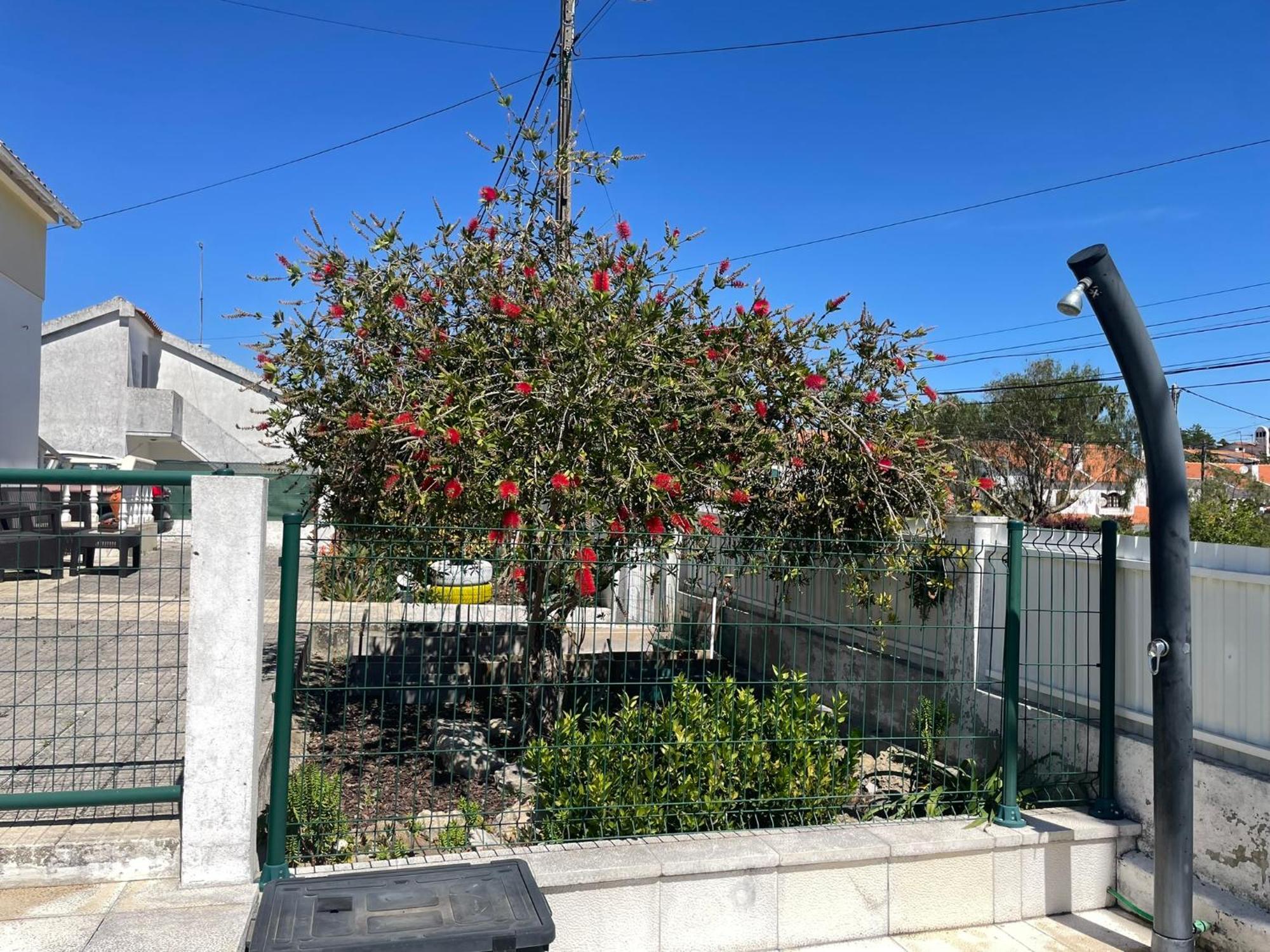 Casa Vila Sao & Pompeia Sesimbra Esterno foto